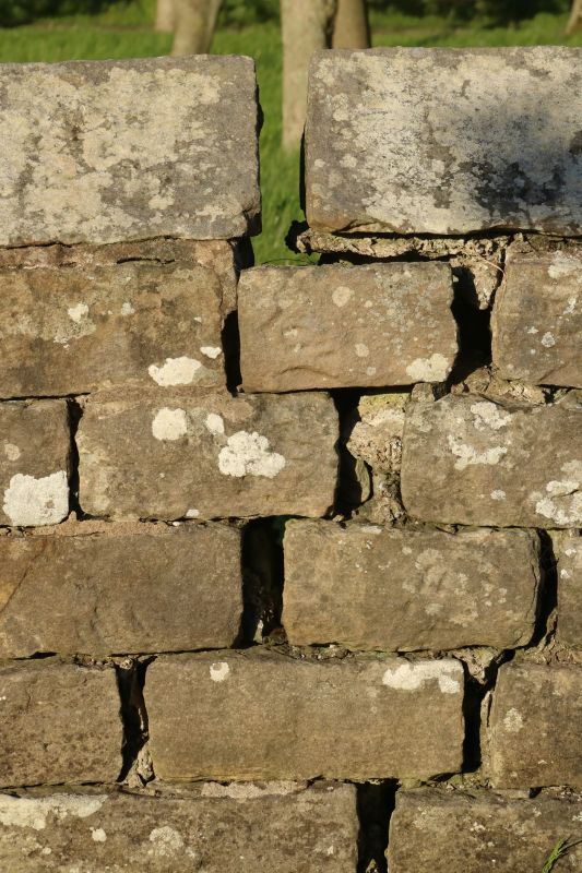 Stone Column Repair in Suwanee, GA